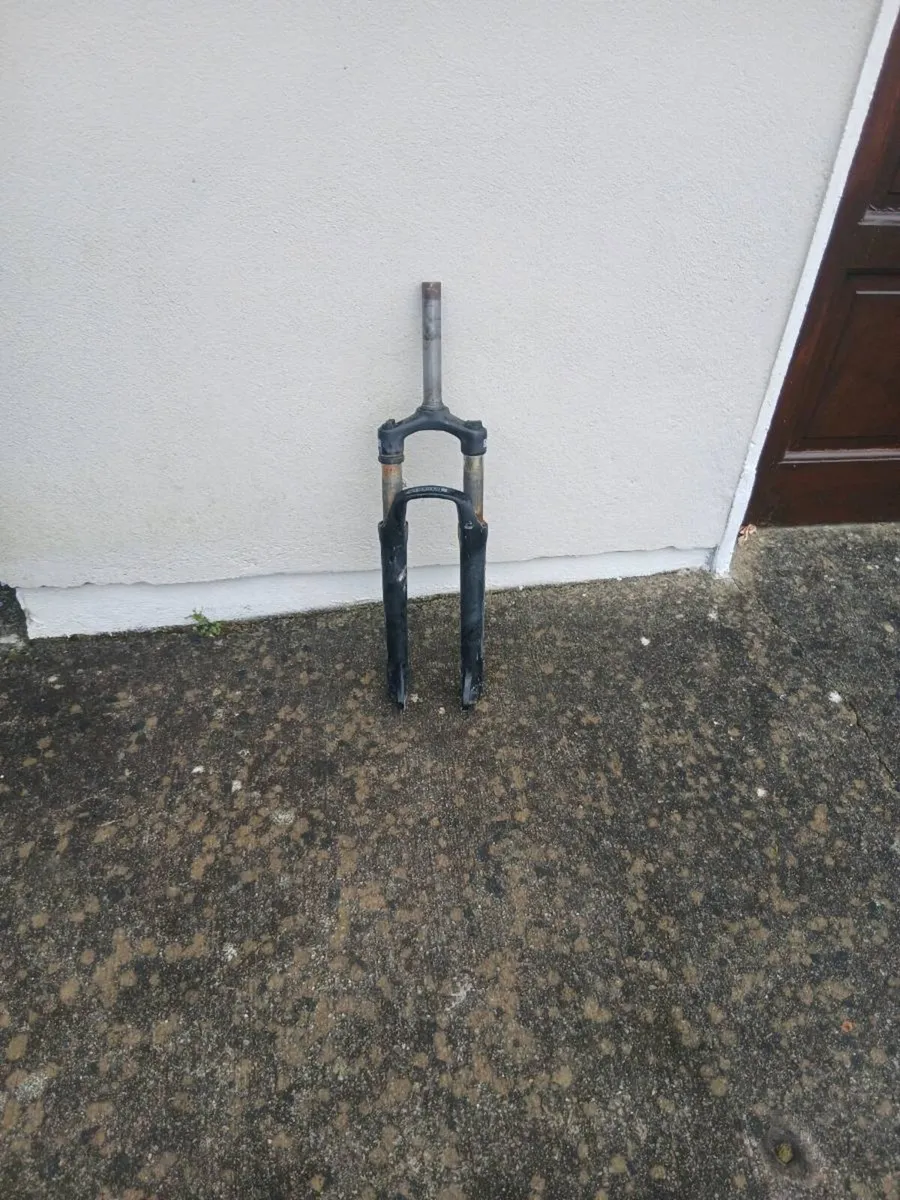 Bike forks - Image 1