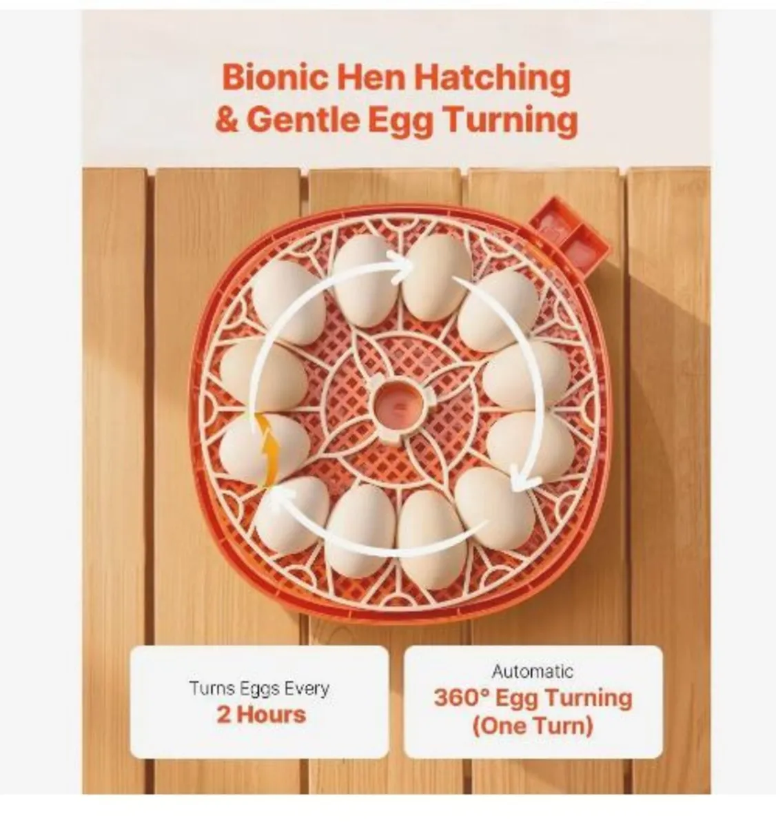 12 Egg Incubator, Automatic Egg Turner - Image 2