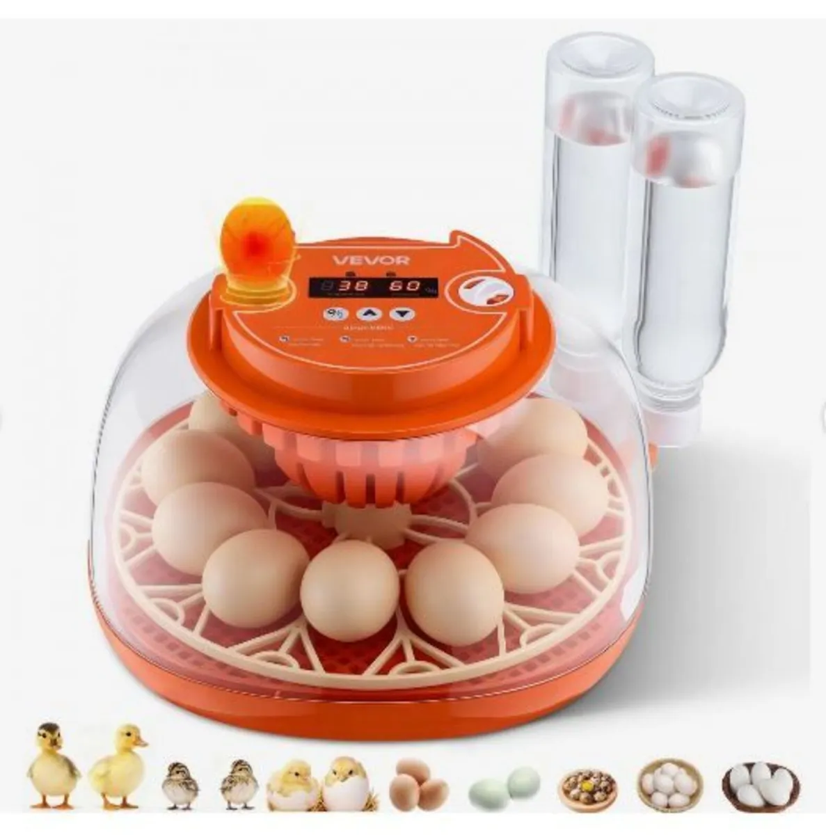 12 Egg Incubator, Automatic Egg Turner - Image 4