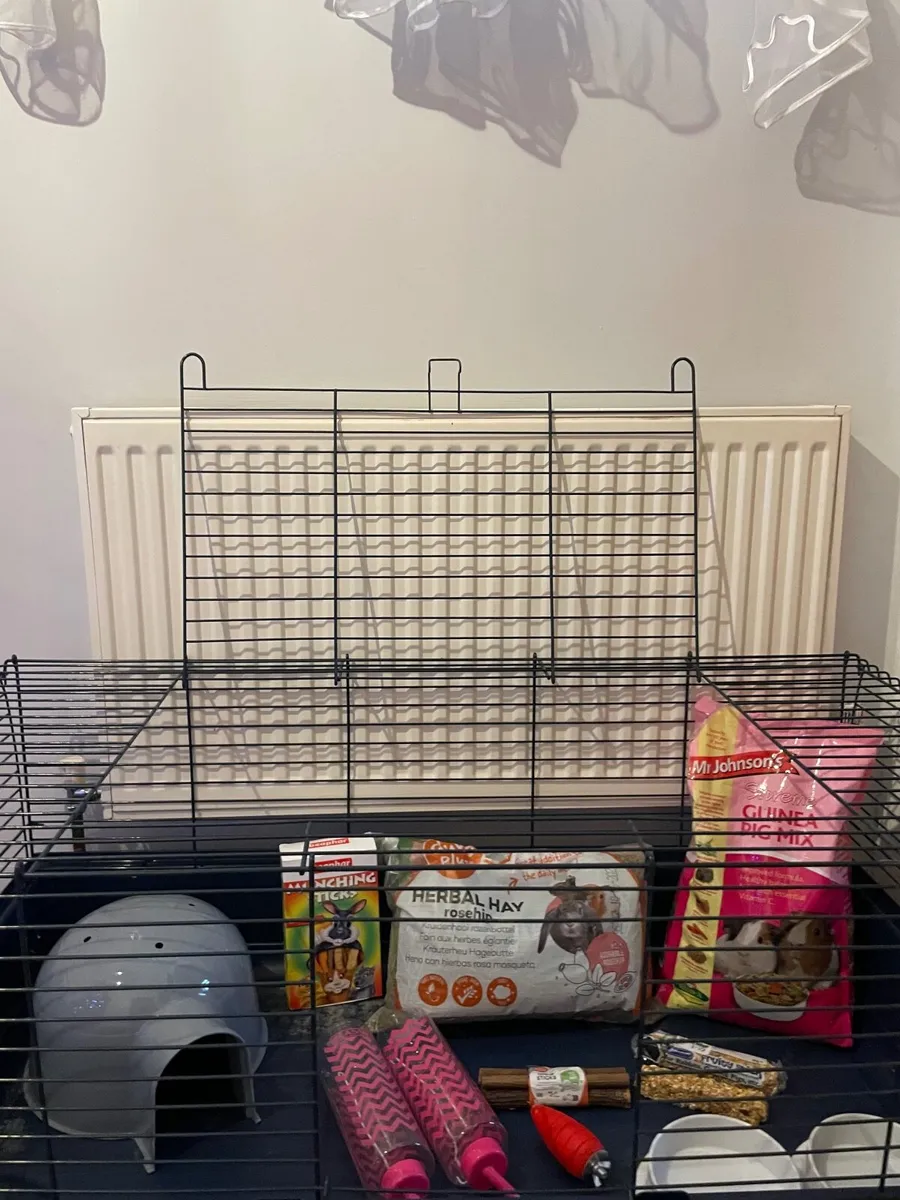 Guinea pig or bunny starter set - Image 3
