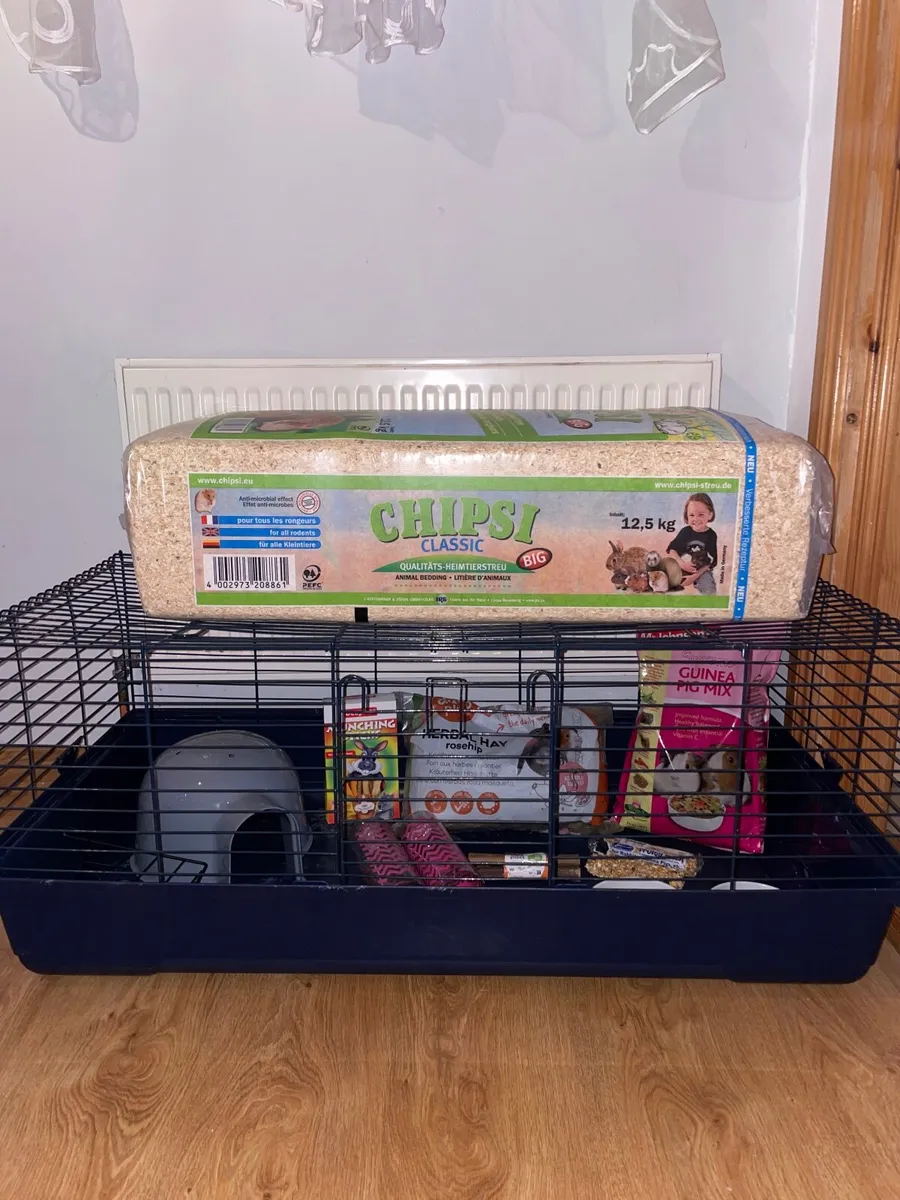 Guinea pig or bunny starter set - Image 1