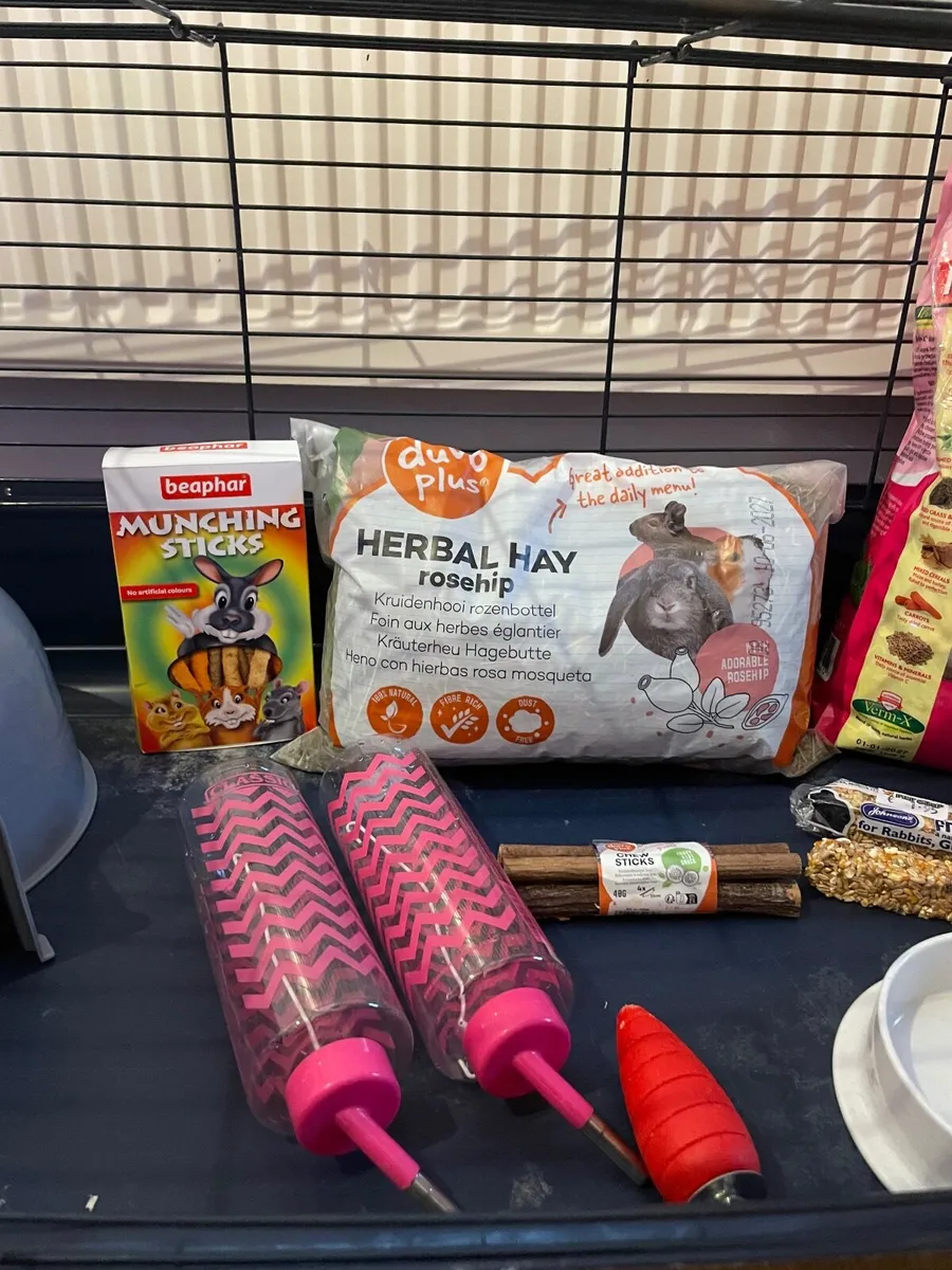 Guinea pig or bunny starter set - Image 2