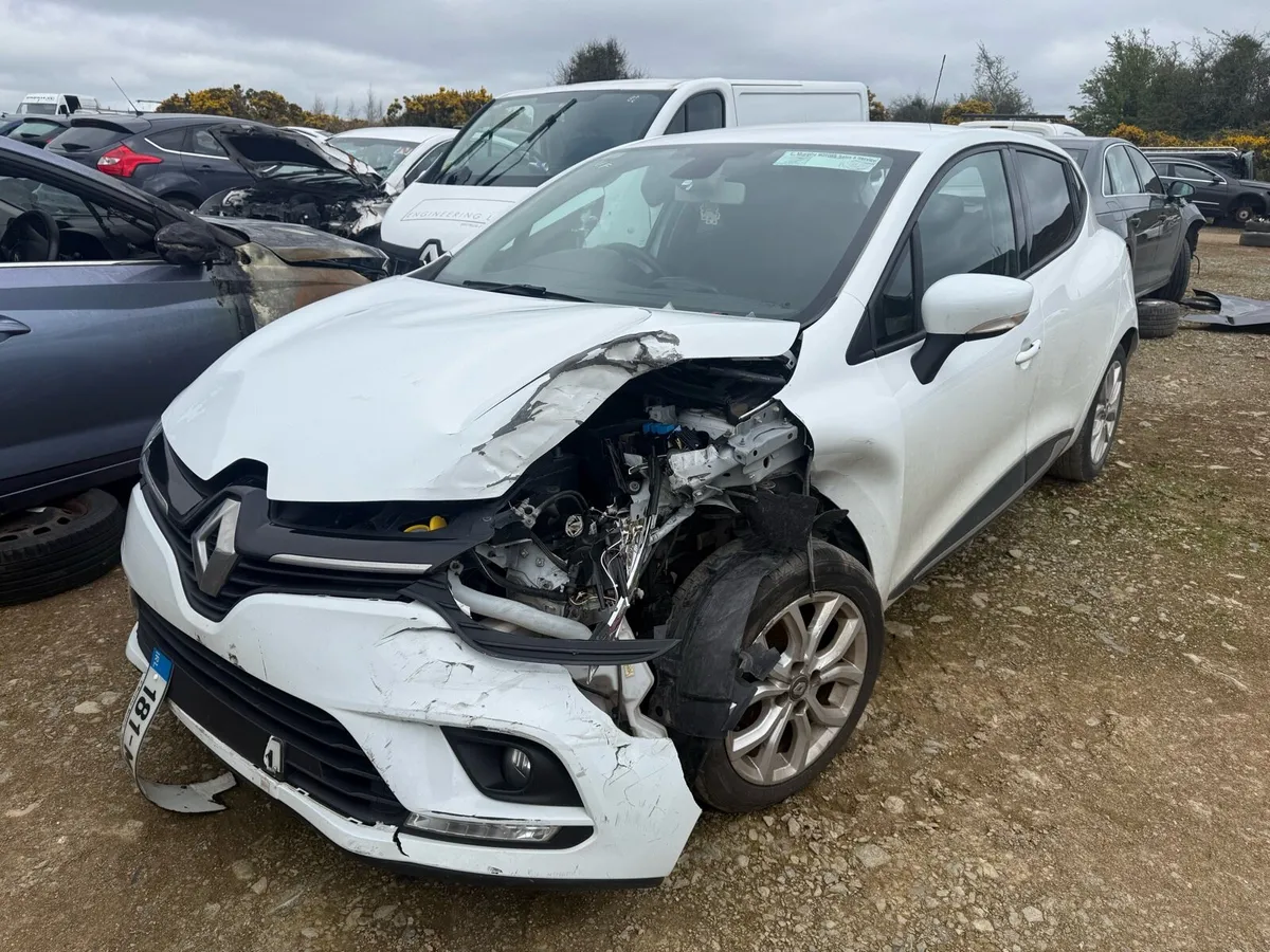 Renault Clio - Image 2