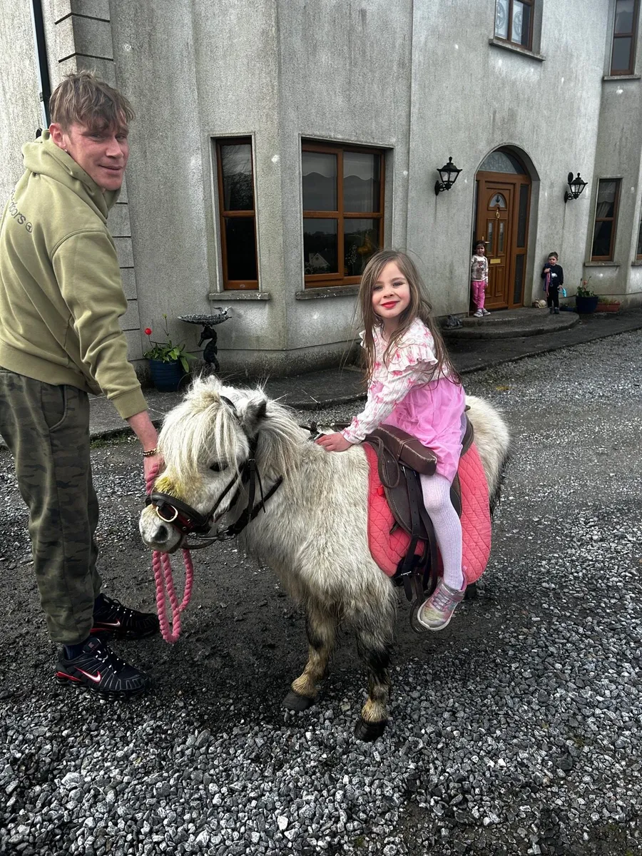 ❤️pony for sale ❤️ - Image 3