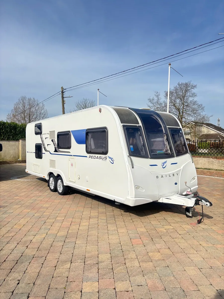 🤩BAILEY PEGASUS🤩 - Image 1