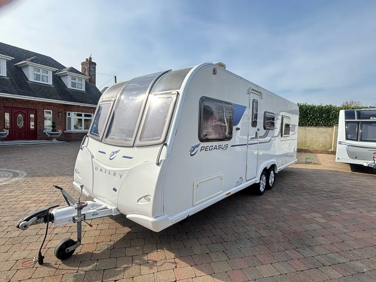 🤩BAILEY PEGASUS🤩 - Image 2