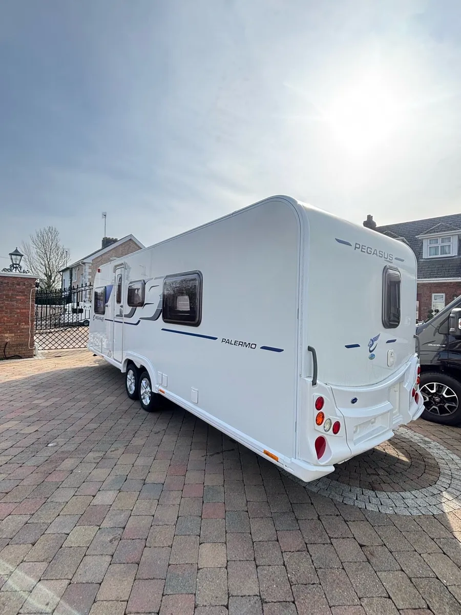 🤩BAILEY PEGASUS🤩 - Image 3