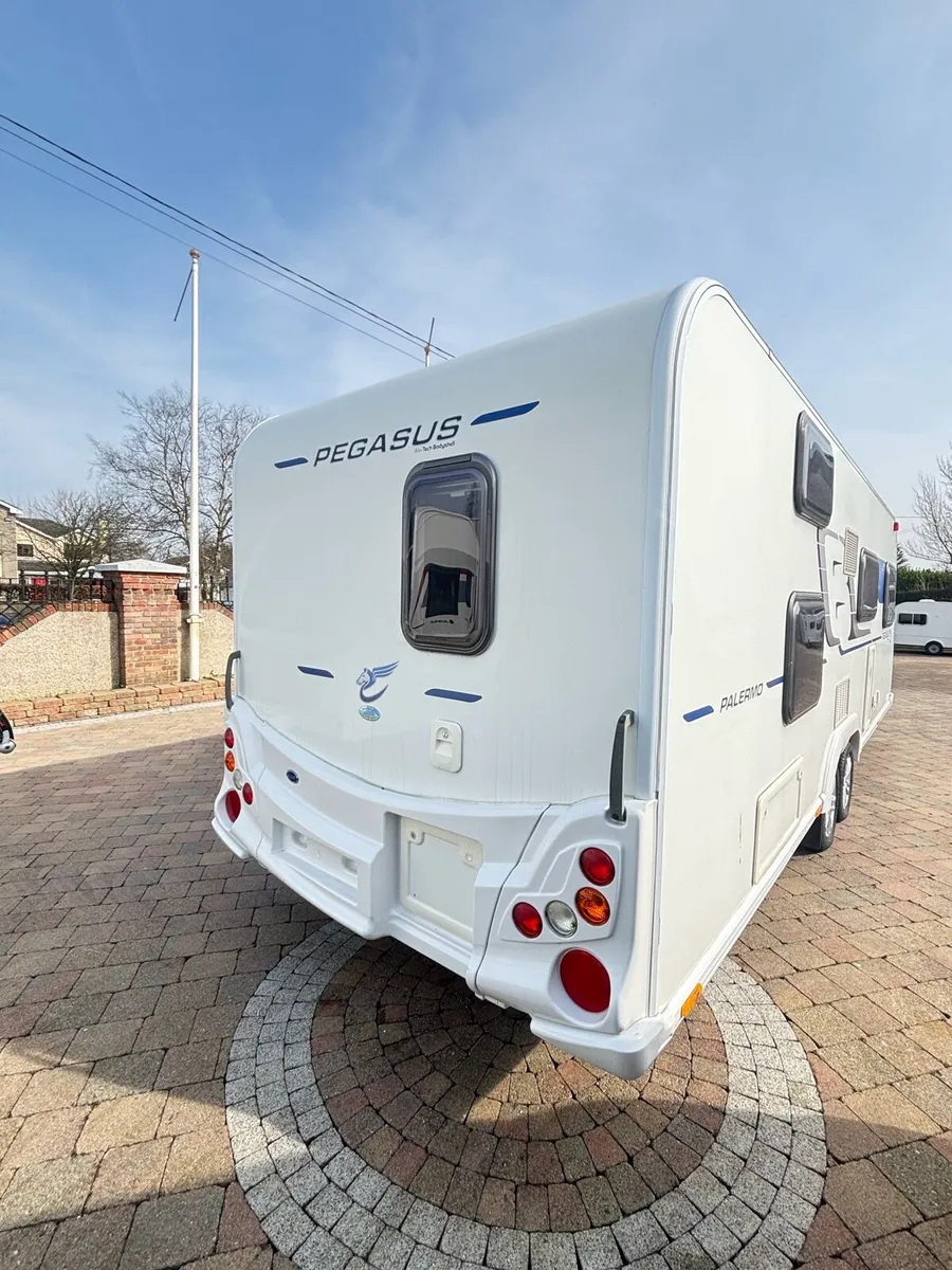 🤩BAILEY PEGASUS🤩 - Image 4