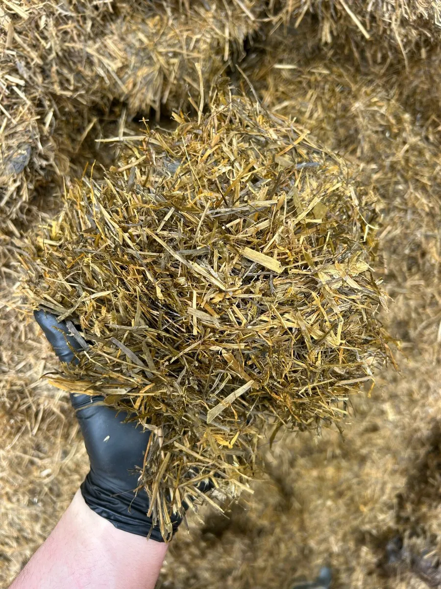 Pit silage