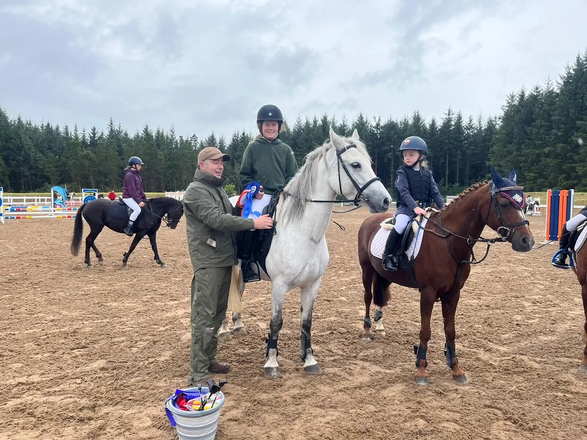 Connemara pony - Image 3