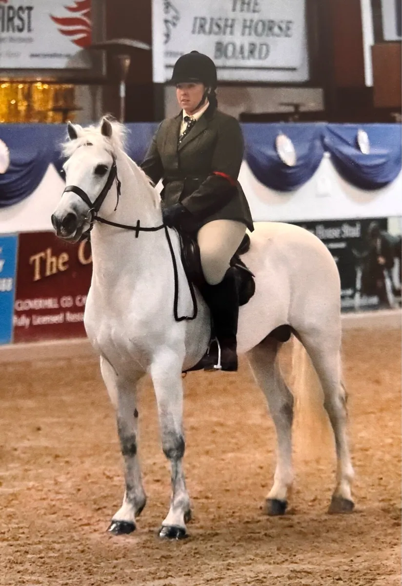 Class One Connemara at Stud - Image 2