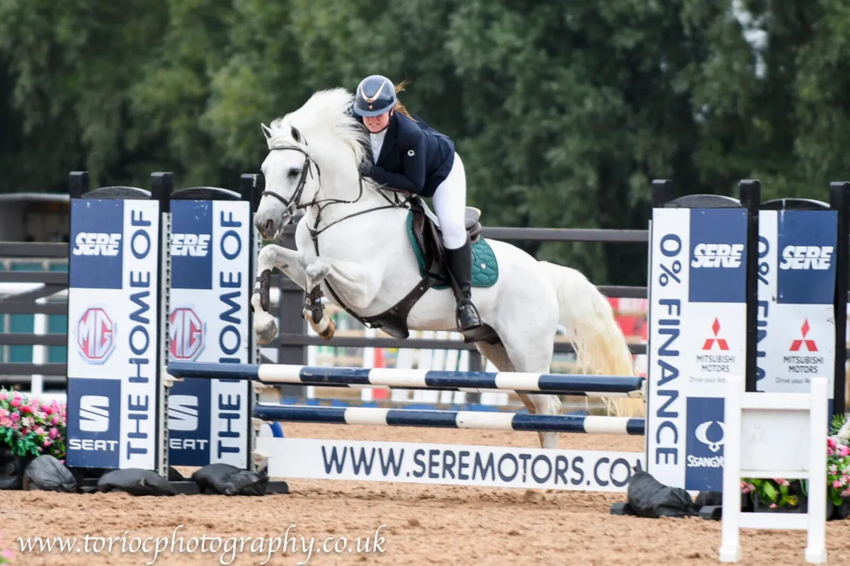 Class One Connemara at Stud - Image 4