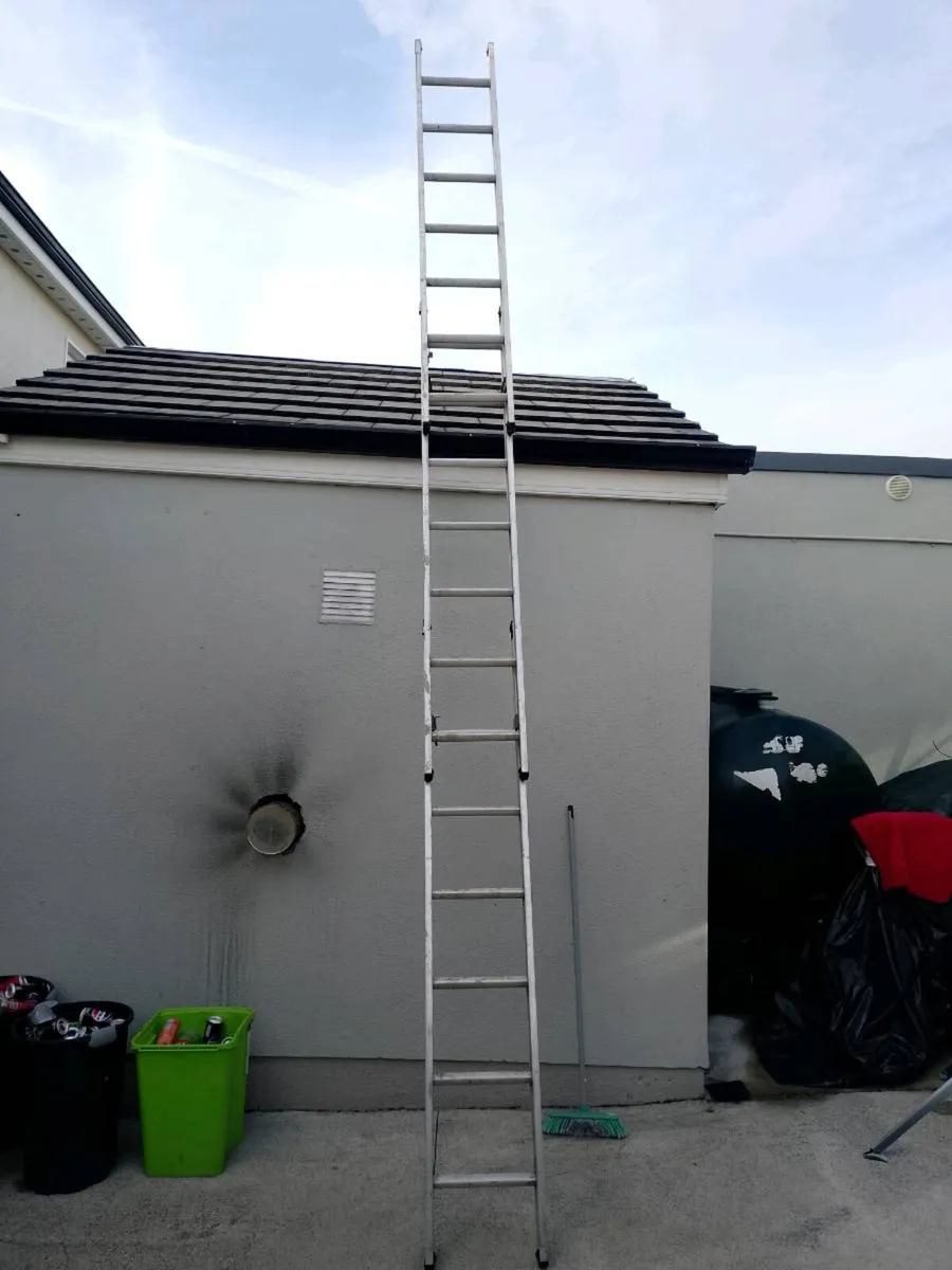 Ladder - Image 3