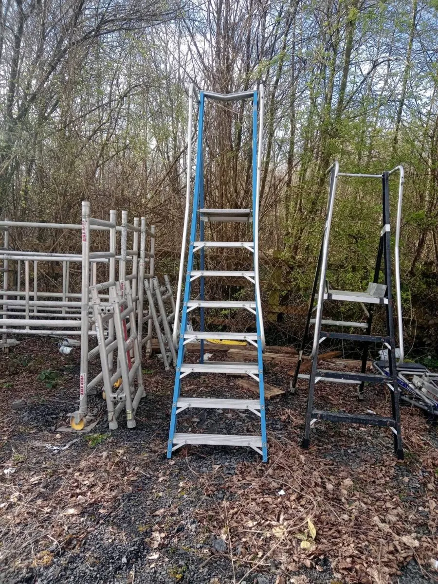 Ladders - Image 4