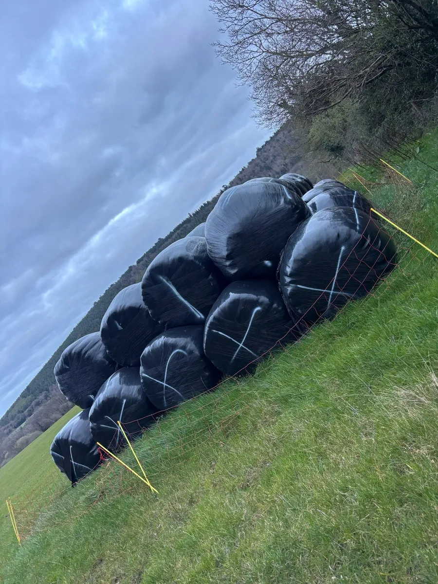 Silage Bales For Sale