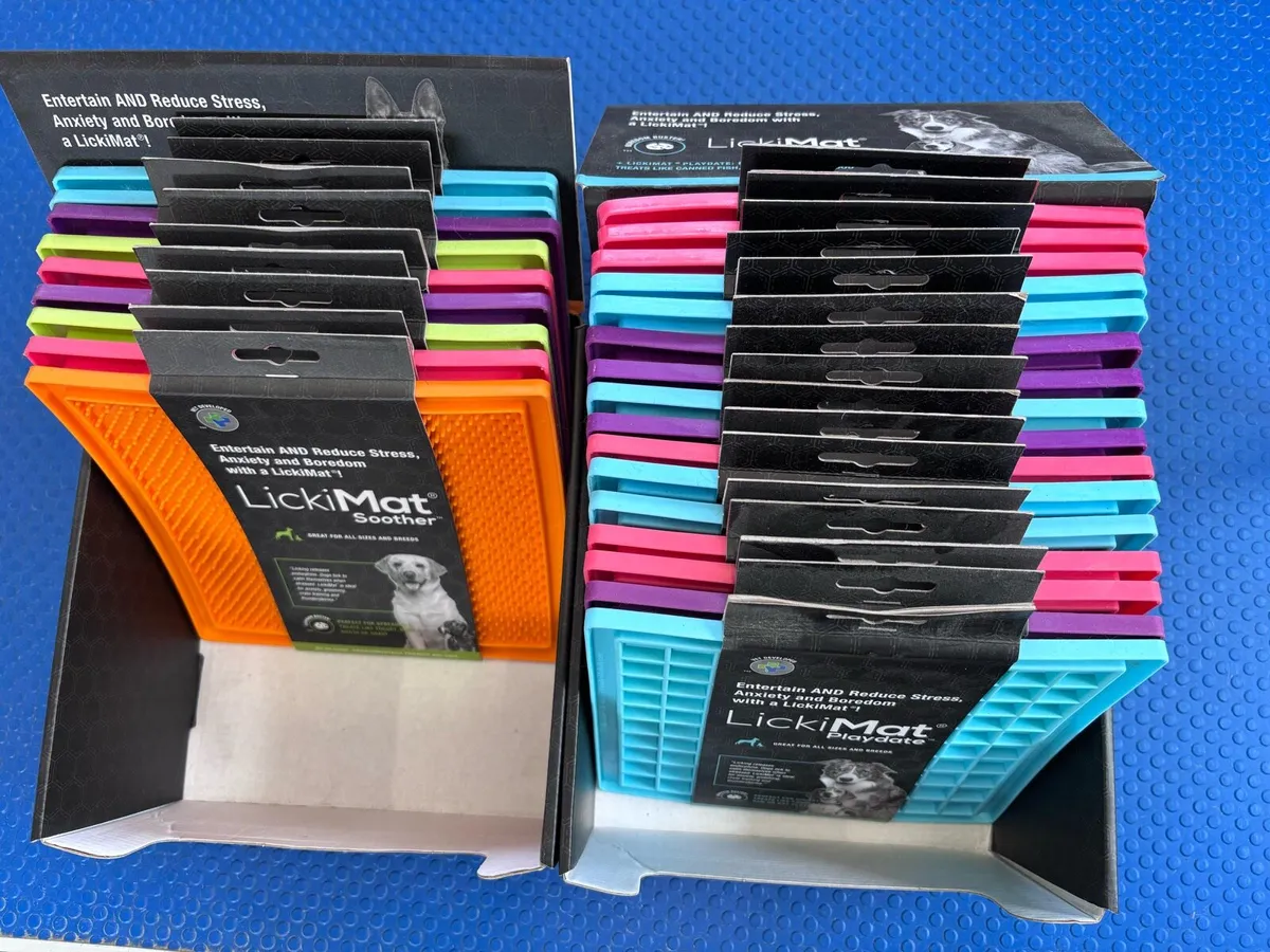 Dog Accessories - Image 1