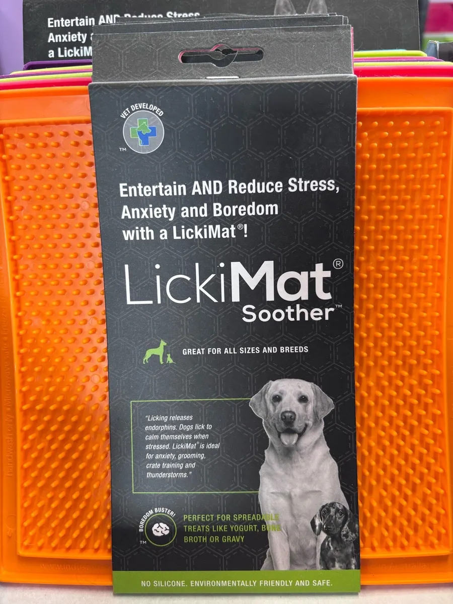 Dog Accessories - Image 4