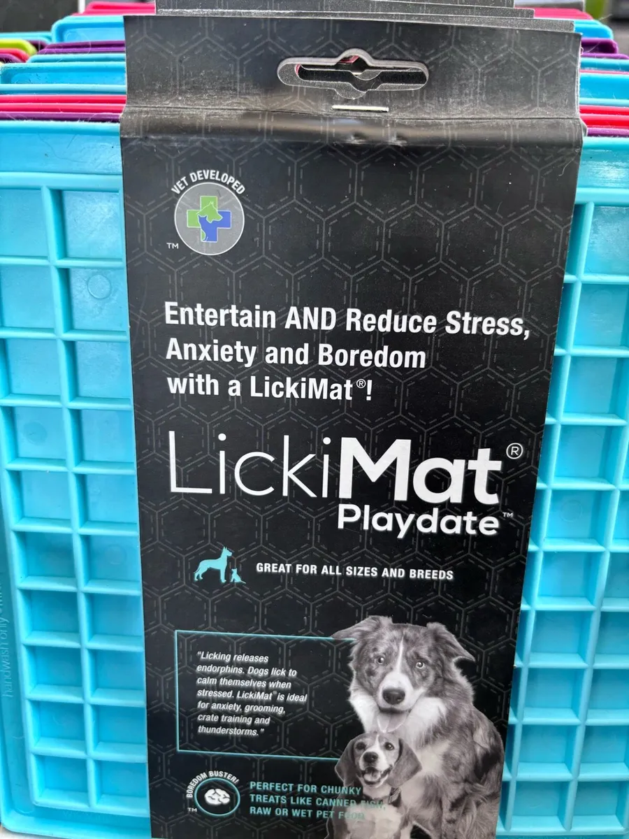 Dog Accessories - Image 3