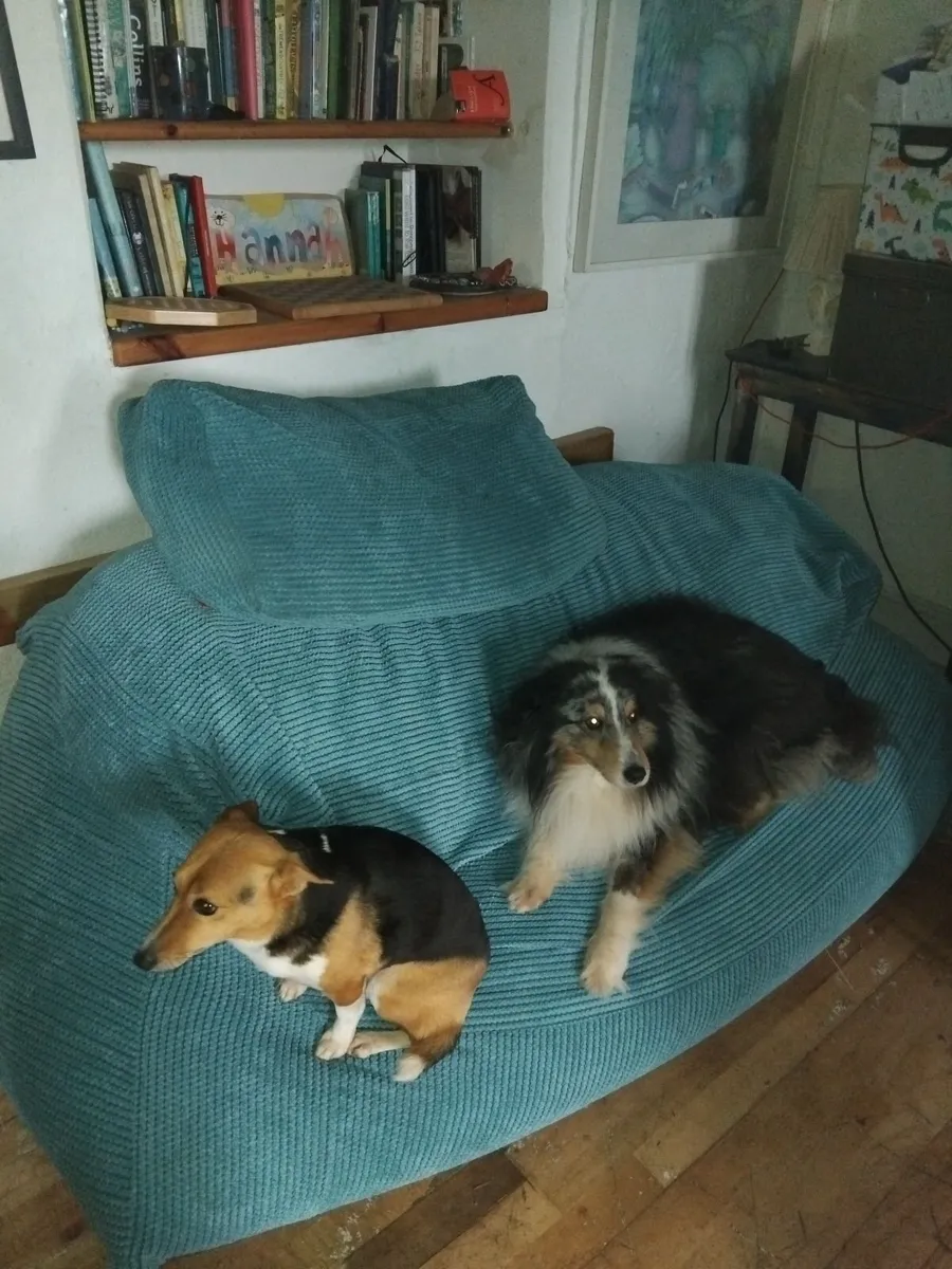 Very large dog bean bag