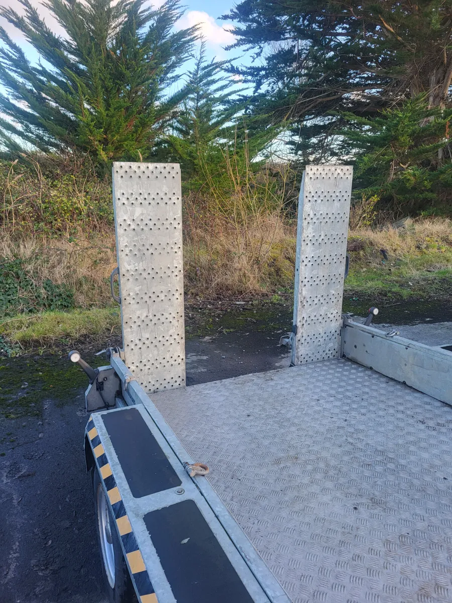 Nugent Plant Trailer - Image 3