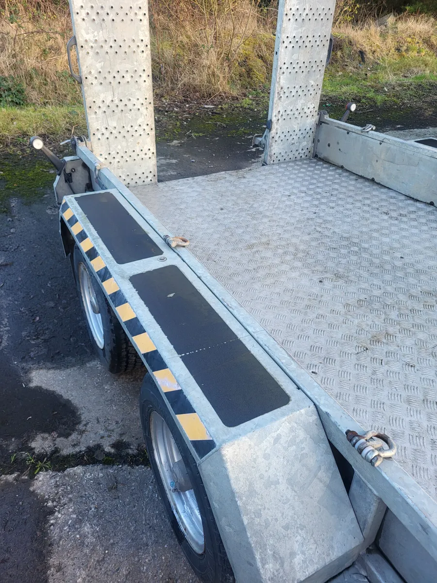 Nugent Plant Trailer - Image 4