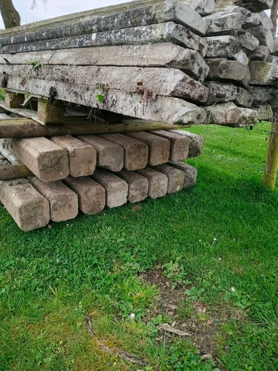 Concrete fencing - Image 2