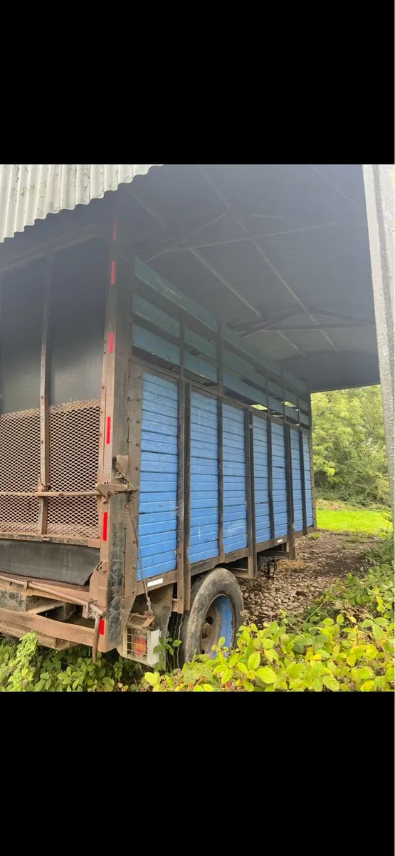 Ford Silage trailer - Image 4