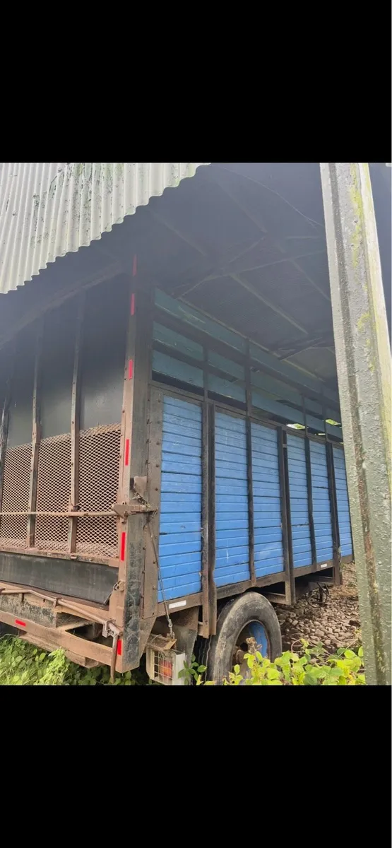 Ford Silage trailer - Image 3