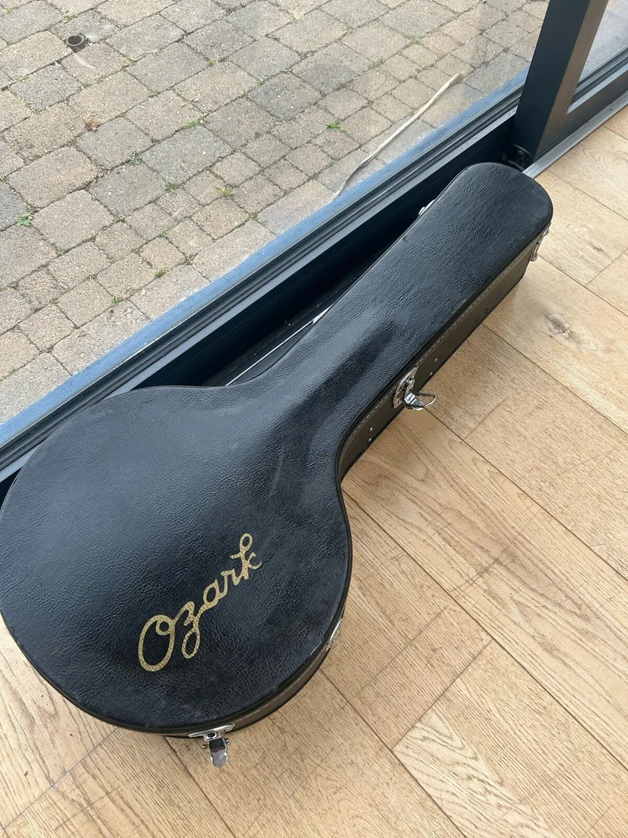 Banjo case - Image 2