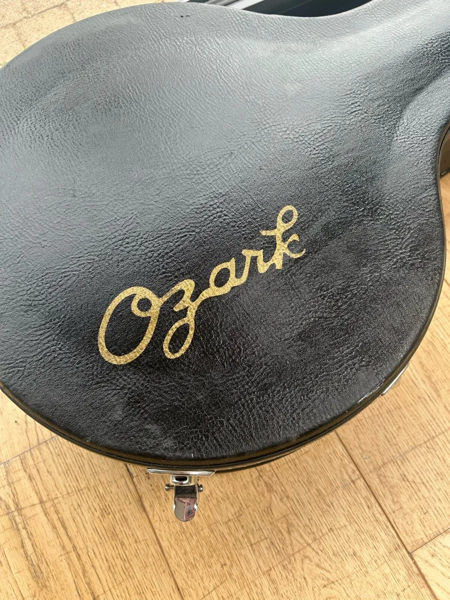 Banjo case - Image 3