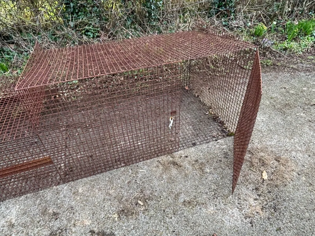 Pest-Proof Rabbit Hutch - Image 1