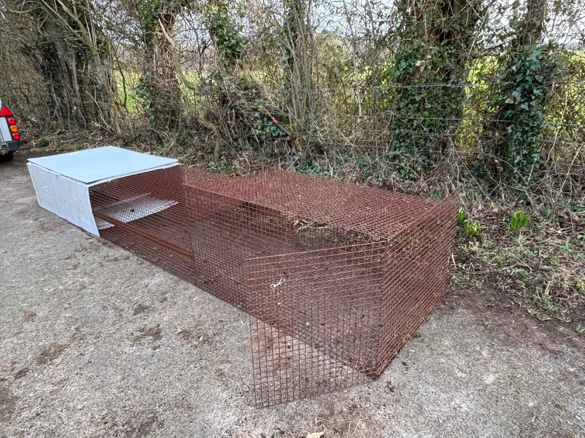 Pest-Proof Rabbit Hutch - Image 3