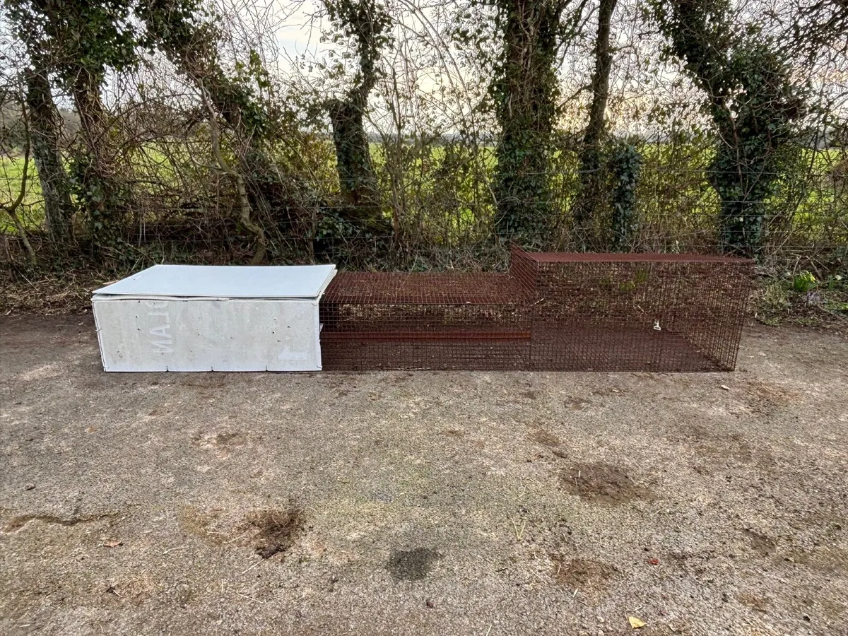 Pest-Proof Rabbit Hutch - Image 4