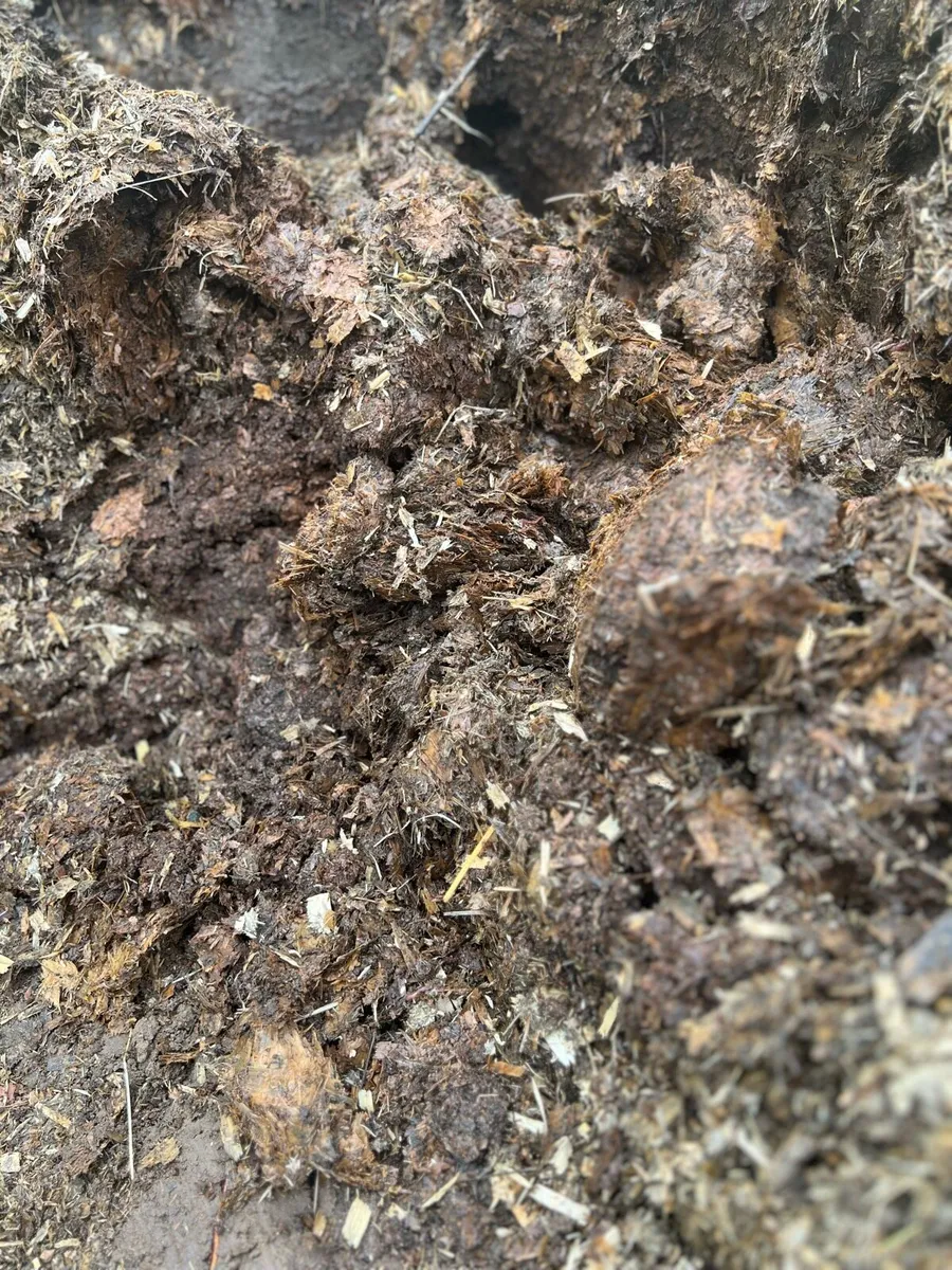 Mature horse manure - Image 2