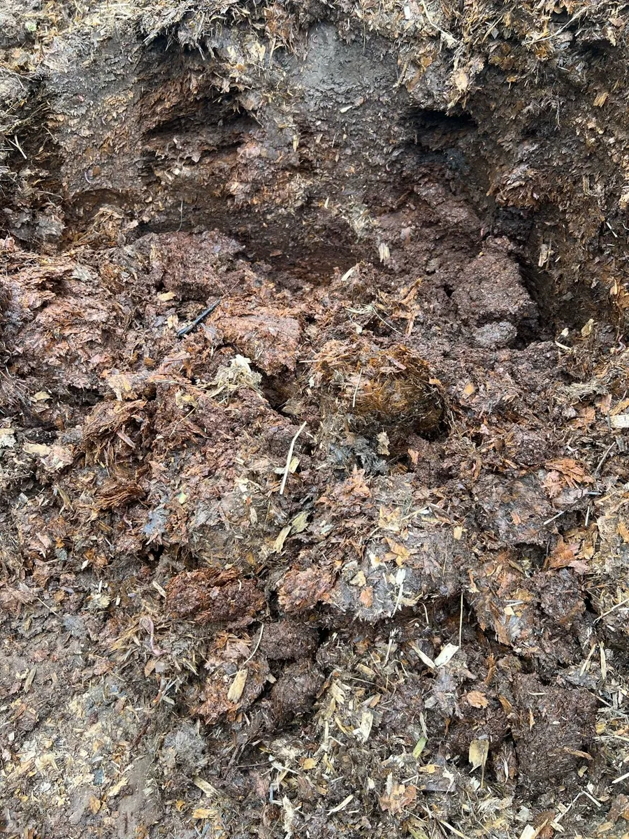 Mature horse manure - Image 1