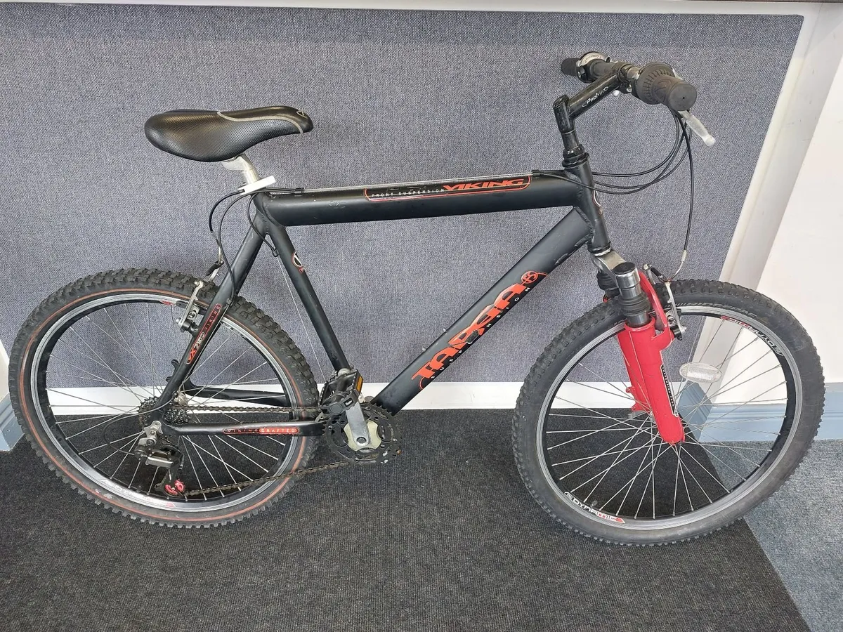 Viking Tara - Image 1