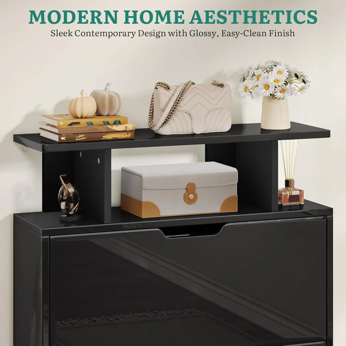 Shoe Storage Cabinet High Gloss Slim Black Space - Image 4