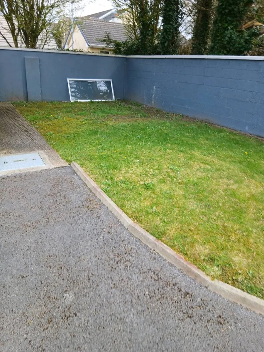 Shower door - Image 1