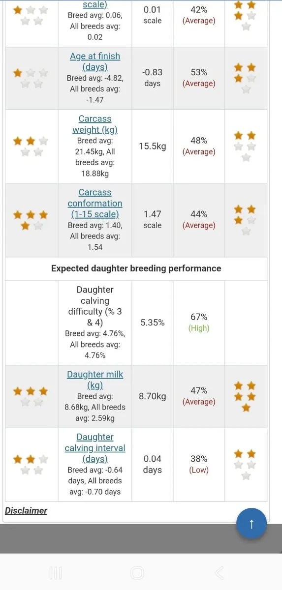 Pedigree simmental bull - Image 2