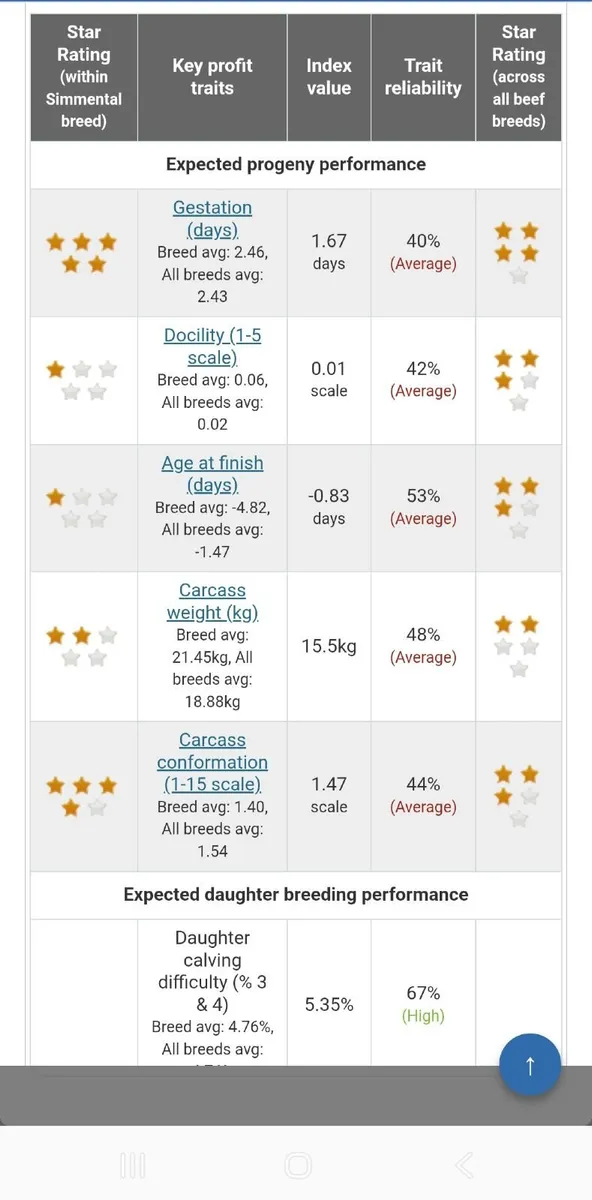 Pedigree simmental bull - Image 3