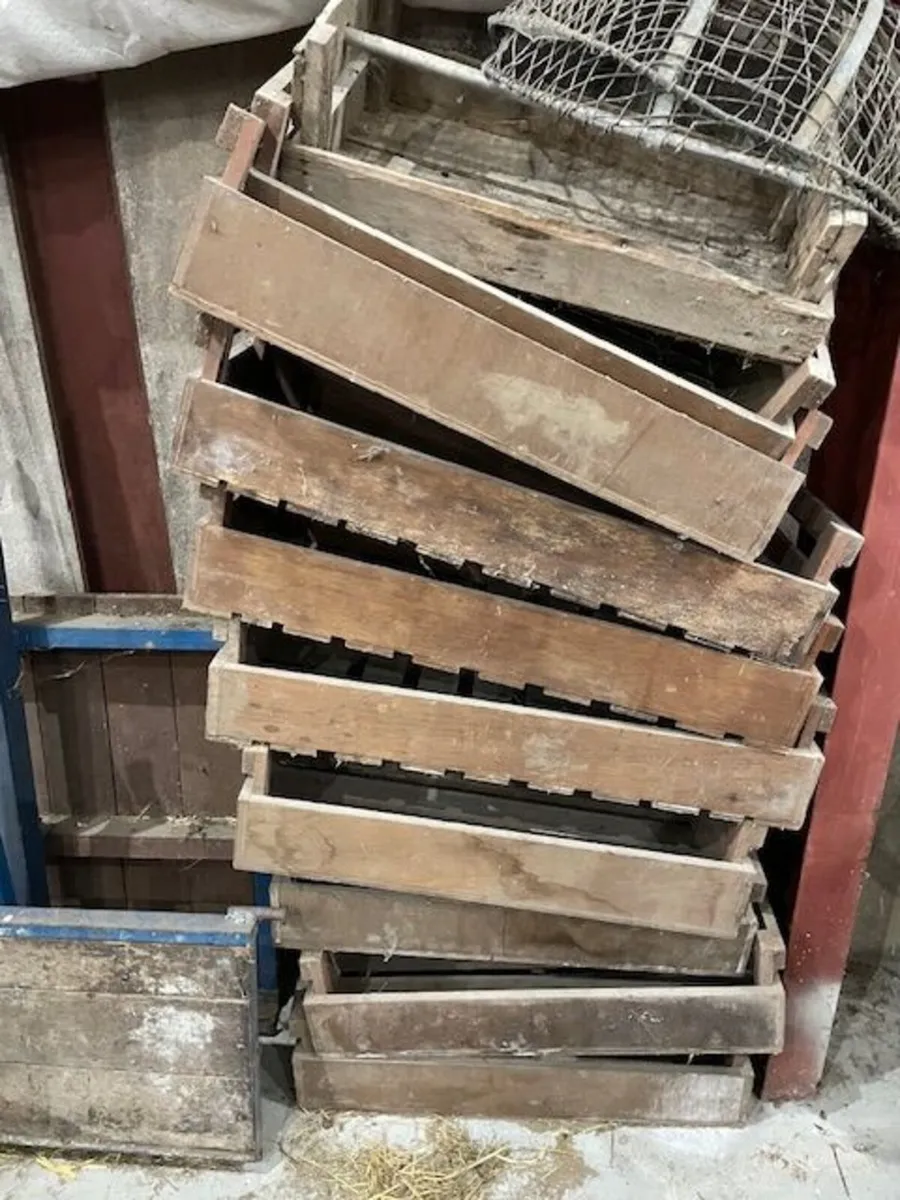 Potato Sprouting Boxes