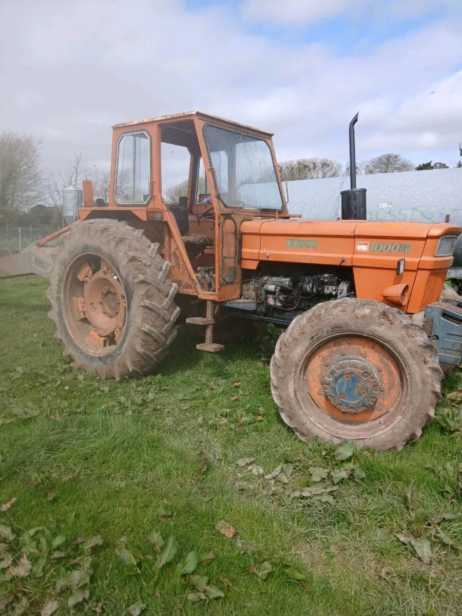 Fiat 1000 DT - Image 2