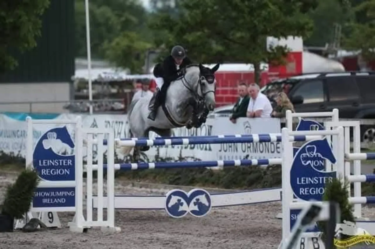 Stallion at stud - Image 1