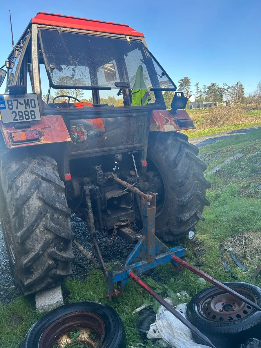 Case international - Image 2