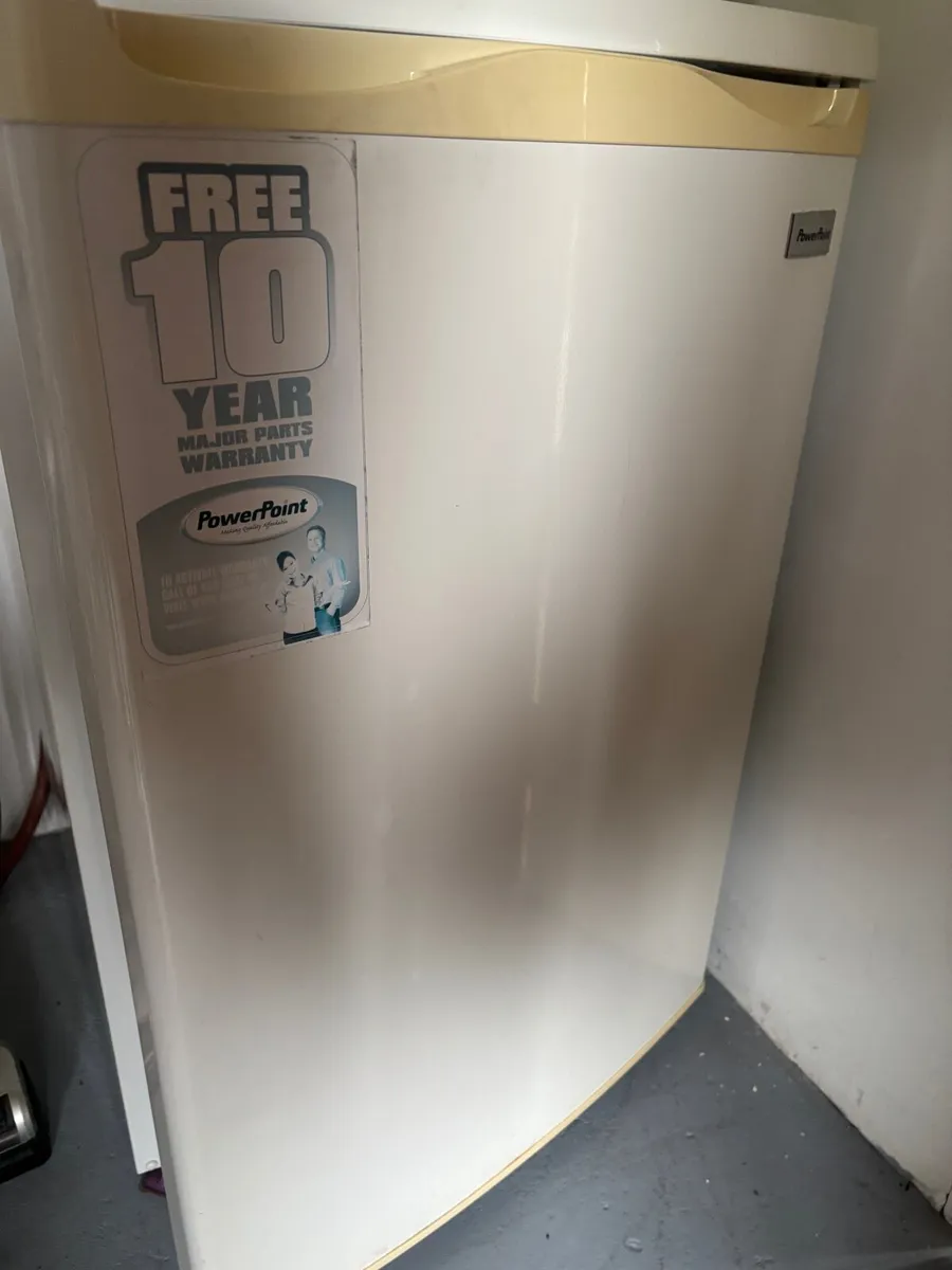 Stand Alone Freezer - Image 1