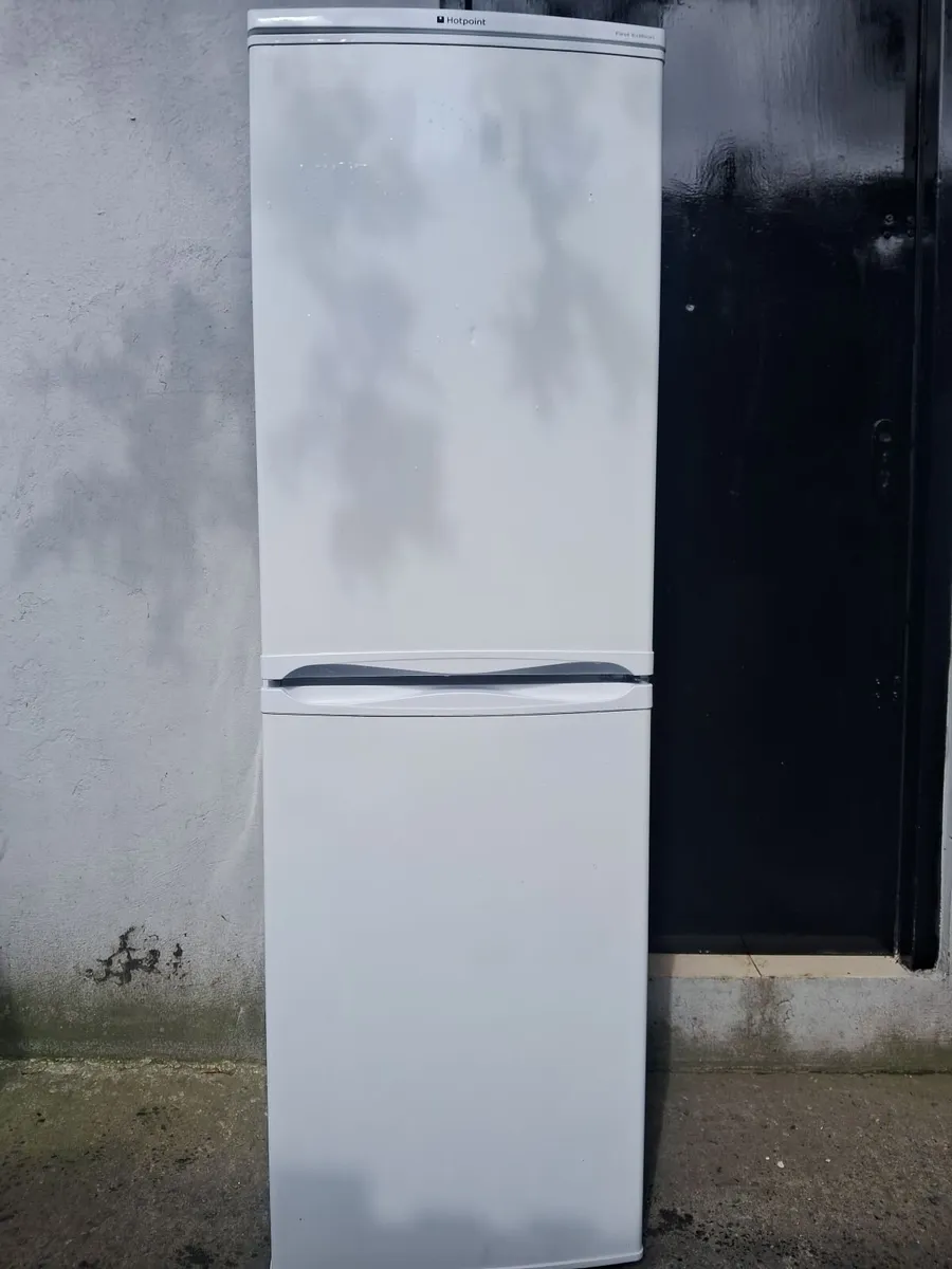 FRIDGE AND FREEZER - Image 1