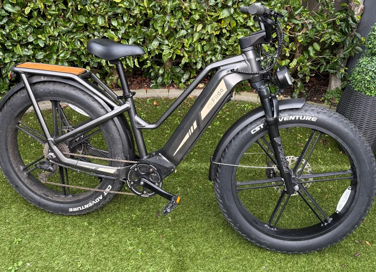 eBike - Image 2