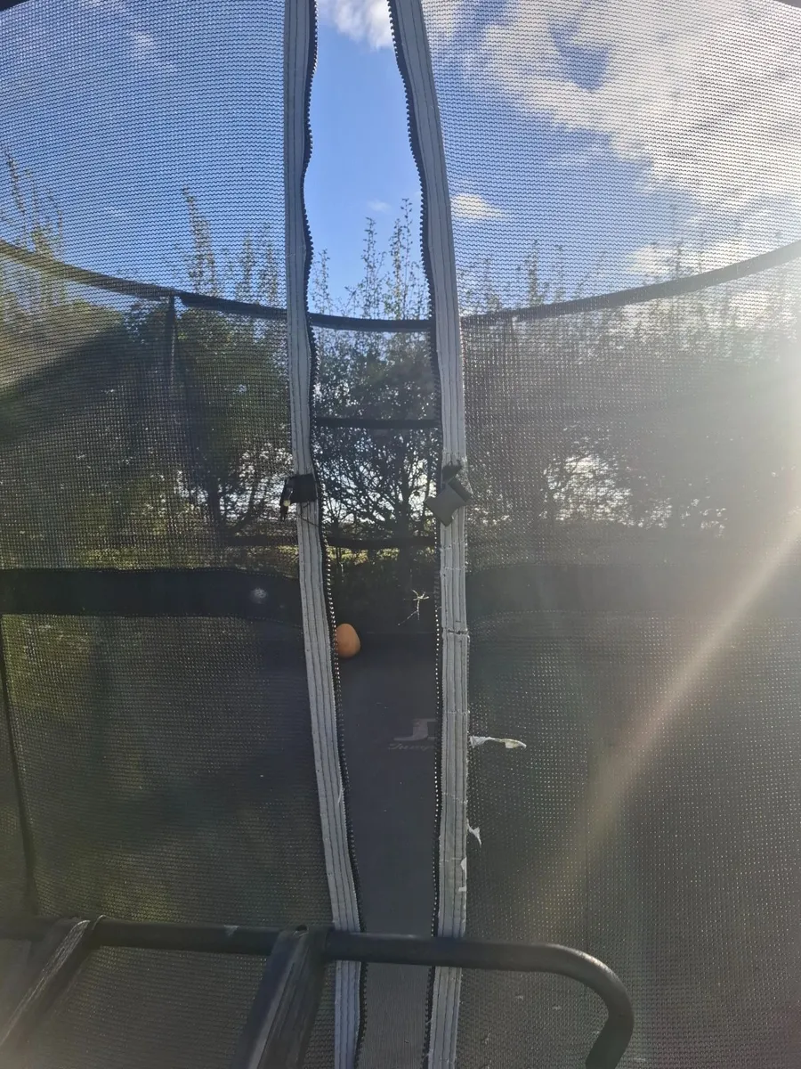 Trampoline - Image 2