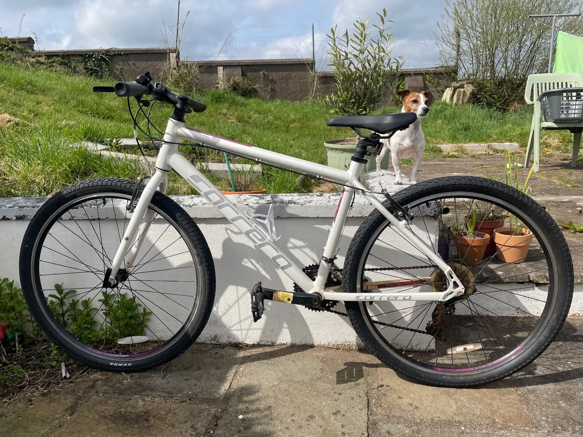 Carrera bike medium frame - Image 3