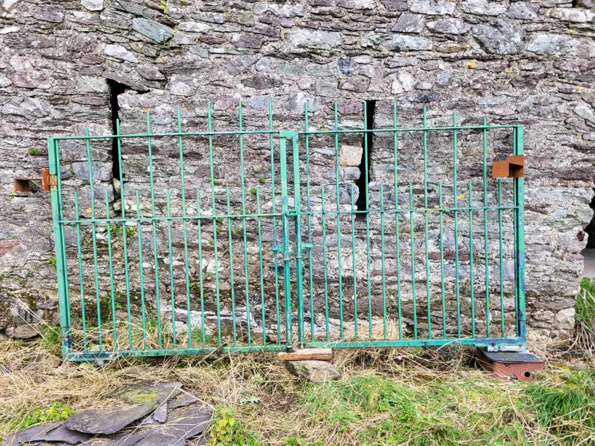 Gates (galvanised, painted, drive) - Image 1